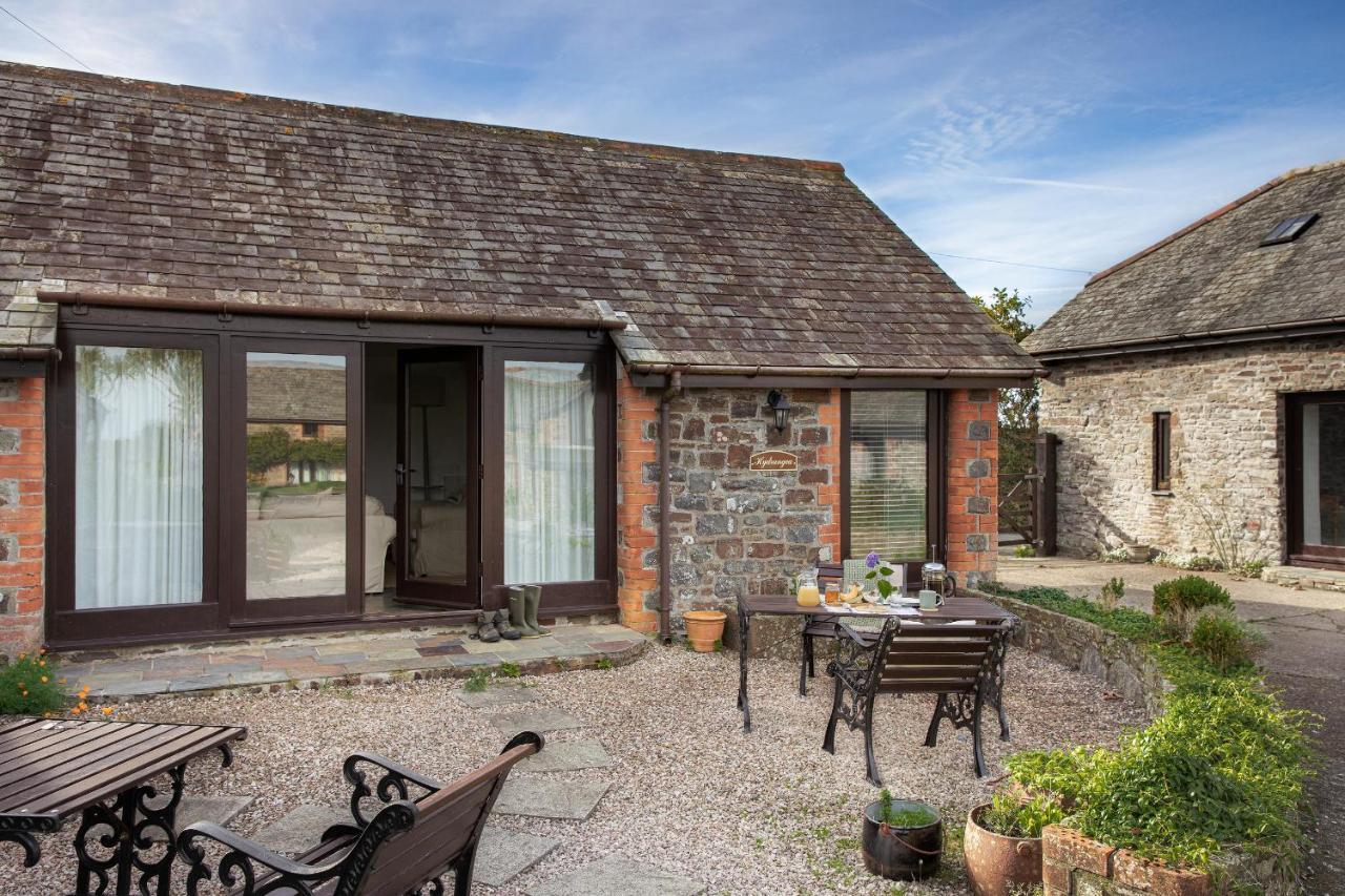 Downe Cottages Hartland Dış mekan fotoğraf