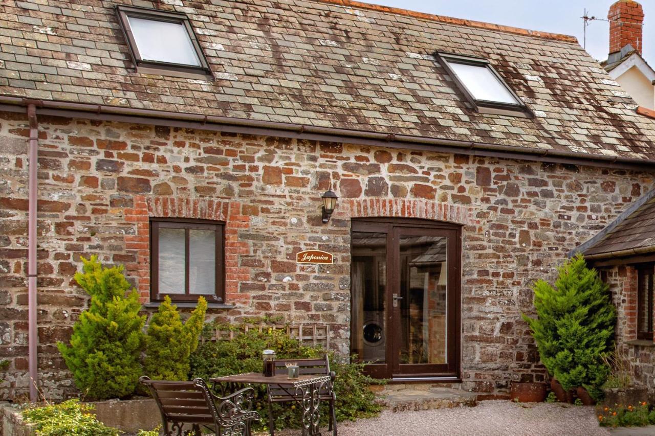 Downe Cottages Hartland Dış mekan fotoğraf