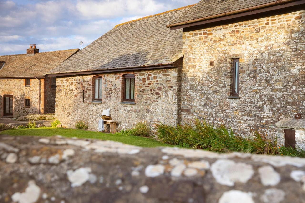 Downe Cottages Hartland Dış mekan fotoğraf